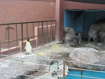 登別マリンパークニクスに投稿された画像（2020/8/10）