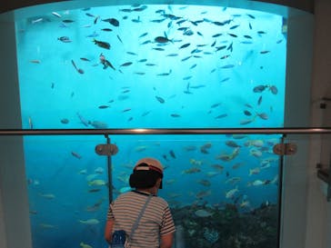 登別マリンパークニクスに投稿された画像（2020/8/10）