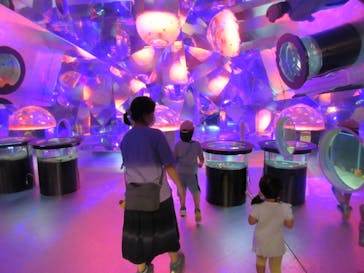 登別マリンパークニクスに投稿された画像（2020/8/10）