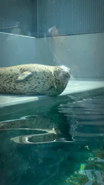 株式会社Gに投稿された画像（2020/8/10）