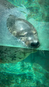 株式会社Gに投稿された画像（2020/8/10）