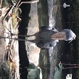 那須どうぶつ王国に投稿された画像（2020/8/10）