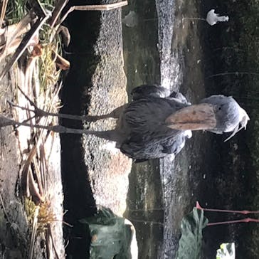 那須どうぶつ王国に投稿された画像（2020/8/10）