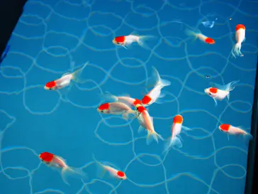 すみだ水族館に投稿された画像（2020/8/10）