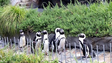 サンシャイン水族館に投稿された画像（2020/8/10）