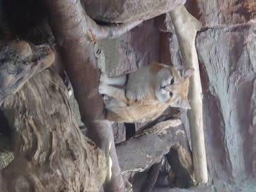 那須どうぶつ王国に投稿された画像（2020/8/10）