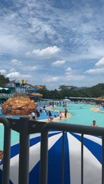 日本モンキーパークに投稿された画像（2020/8/10）