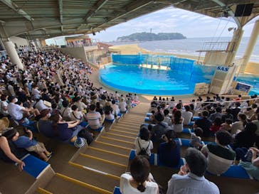 新江ノ島水族館に投稿された画像（2020/8/10）