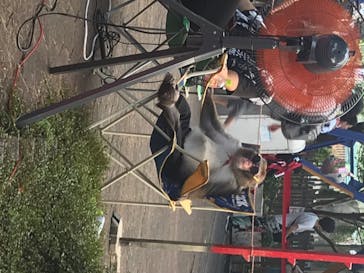 としまえんに投稿された画像（2020/8/10）