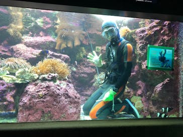 サンシャイン水族館に投稿された画像（2020/8/10）