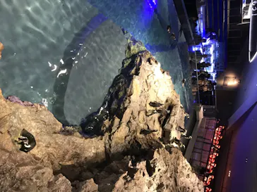 すみだ水族館に投稿された画像（2020/8/10）