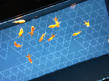 すみだ水族館に投稿された画像（2020/8/10）