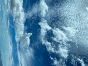 ハルカス300(展望台)に投稿された画像（2020/8/10）