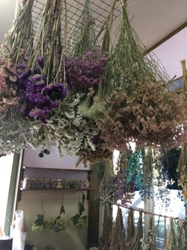 Florilege（フロリレージュ）に投稿された画像（2020/8/10）