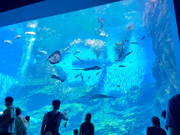 仙台うみの杜水族館に投稿された画像（2020/8/10）