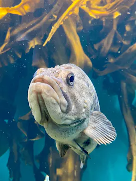 仙台うみの杜水族館に投稿された画像（2020/8/10）