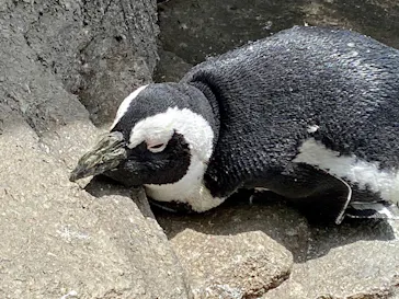 仙台うみの杜水族館に投稿された画像（2020/8/10）