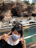 アクアワールド茨城県大洗水族館に投稿された画像（2020/8/10）