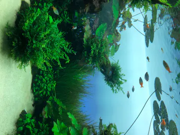 すみだ水族館に投稿された画像（2020/8/10）