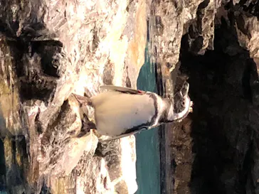 すみだ水族館に投稿された画像（2020/8/10）