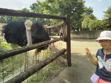 群馬サファリパークに投稿された画像（2020/8/10）