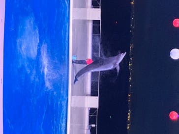 マリンワールド海の中道に投稿された画像（2020/8/10）