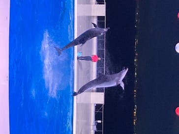 マリンワールド海の中道に投稿された画像（2020/8/10）