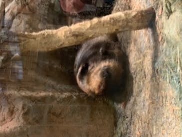 鳥羽水族館に投稿された画像（2020/8/10）