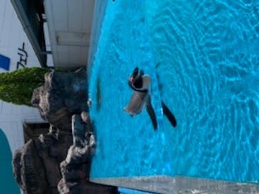 鳥羽水族館に投稿された画像（2020/8/10）