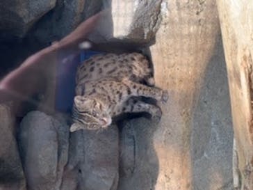 鳥羽水族館に投稿された画像（2020/8/10）