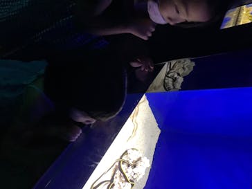 サンシャイン水族館に投稿された画像（2020/8/10）