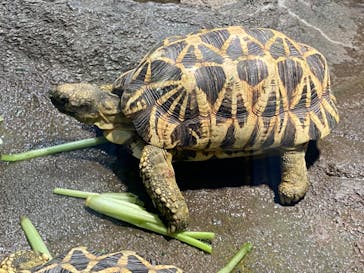 サンシャイン水族館に投稿された画像（2020/8/10）