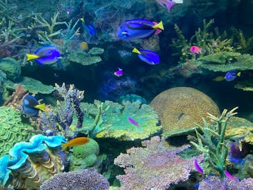 サンシャイン水族館に投稿された画像（2020/8/10）