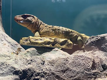 サンシャイン水族館に投稿された画像（2020/8/10）