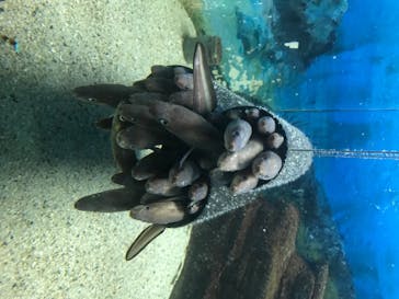 株式会社Gに投稿された画像（2020/8/10）