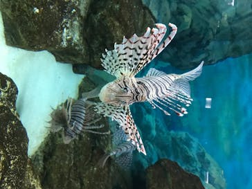 株式会社Gに投稿された画像（2020/8/10）