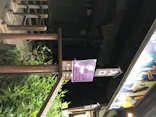 としまえんに投稿された画像（2020/8/10）