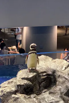 すみだ水族館に投稿された画像（2020/8/10）