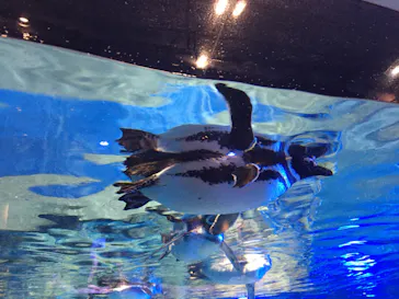 すみだ水族館に投稿された画像（2020/8/10）