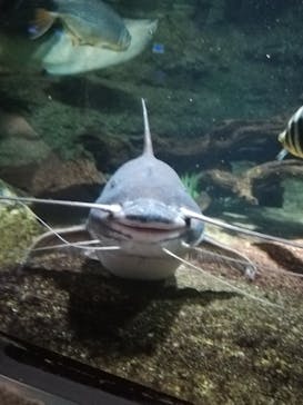 サンシャイン水族館に投稿された画像（2020/8/10）