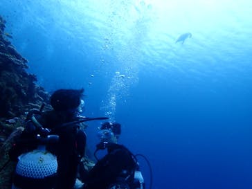 SeaJack divefamily （シージャック）に投稿された画像（2020/8/10）