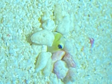 サンシャイン水族館に投稿された画像（2020/8/10）