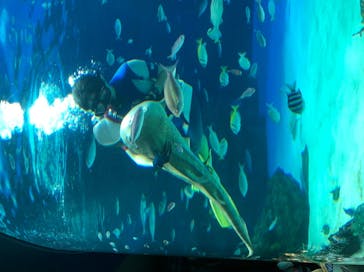 サンシャイン水族館に投稿された画像（2020/8/10）