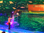 仙台うみの杜水族館に投稿された画像（2020/8/10）