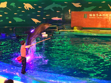 仙台うみの杜水族館に投稿された画像（2020/8/10）