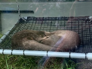 サンシャイン水族館に投稿された画像（2020/8/10）