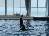 アクアワールド茨城県大洗水族館に投稿された画像（2020/8/10）