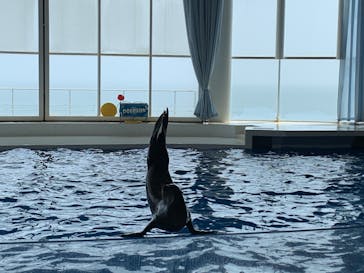 アクアワールド茨城県大洗水族館に投稿された画像（2020/8/10）