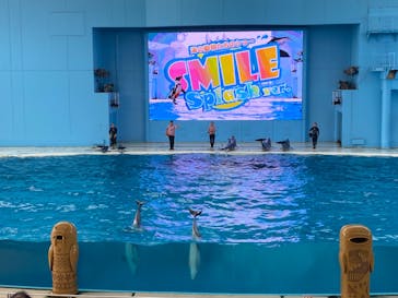 横浜・八景島シーパラダイスに投稿された画像（2020/8/10）