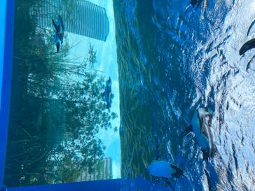 サンシャイン水族館に投稿された画像（2020/8/10）